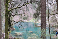 IMG_20240323_163842708