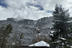 IMG_20240324_134303813