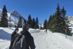 IMG_20240325_104541557