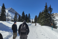 IMG_20240325_104543010