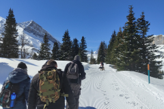 IMG_20240325_104544411