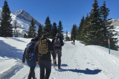 IMG_20240325_104545804