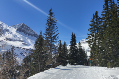 IMG_20240325_104700500