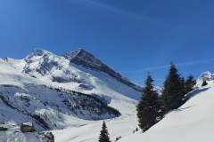 IMG_20240325_105312399