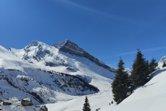 IMG_20240325_105313917