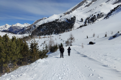 IMG_20240325_114646338