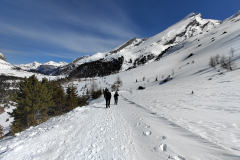 IMG_20240325_114650456