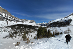 IMG_20240325_114652754