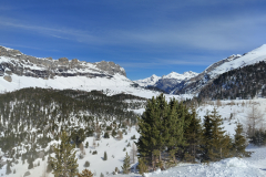 IMG_20240325_114655050