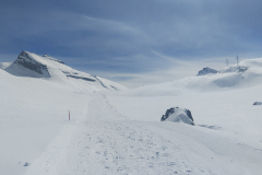 IMG_20240325_133738215