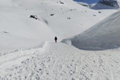 IMG_20240325_134641808