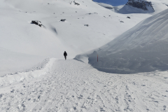 IMG_20240325_134642926