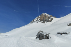 IMG_20240325_135413436