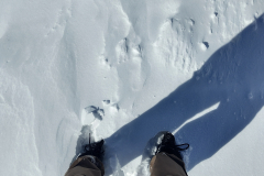 IMG_20240325_140011313