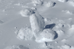 IMG_20240325_141850684