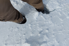 IMG_20240325_150747498