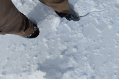 IMG_20240325_150748906