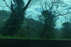 IMG_20240328_121743419