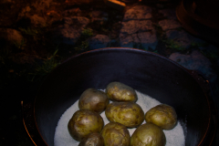 AlWolf_IMG_2213-R00.01