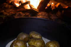 AlWolf_IMG_2219-R00.01