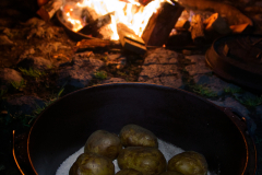 AlWolf_IMG_2220-R00.01