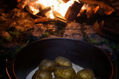 AlWolf_IMG_2221-R00.01