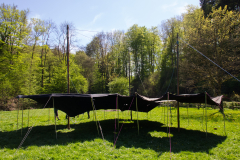 AlWolf_IMG_2398-R00.01