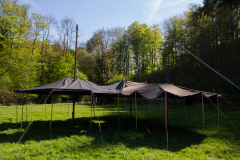 AlWolf_IMG_2416-R00.01