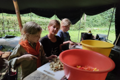 IMG_20250731_194426832