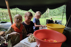 IMG_20250731_194428579