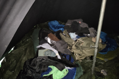 IMG_20250731_194457859