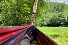 IMG_20250801_115227370