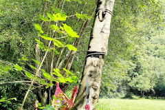 IMG_20250801_115236394