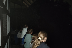 IMG_20250802_225224511