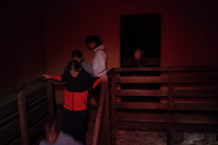 IMG_20250802_230155722