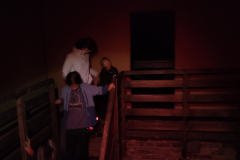 IMG_20250802_230158712