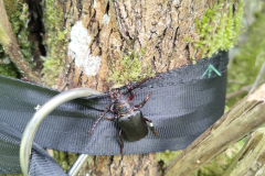 IMG_20250803_150042046