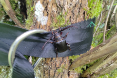 IMG_20250803_150048518