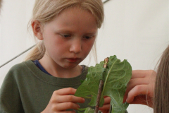 Pfingstlager-2022-0445