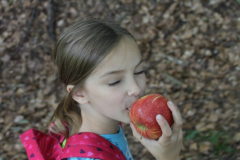 Sommerlager-2022-0327