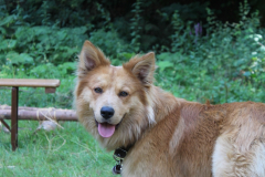 Sommerlager-2022-0461