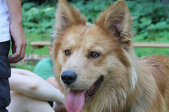 Sommerlager-2022-0464