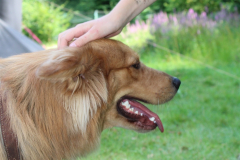 Sommerlager-2022-0468