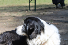 Sommerlager-2022-0474