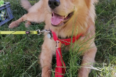 Sommerlager-2022-0561